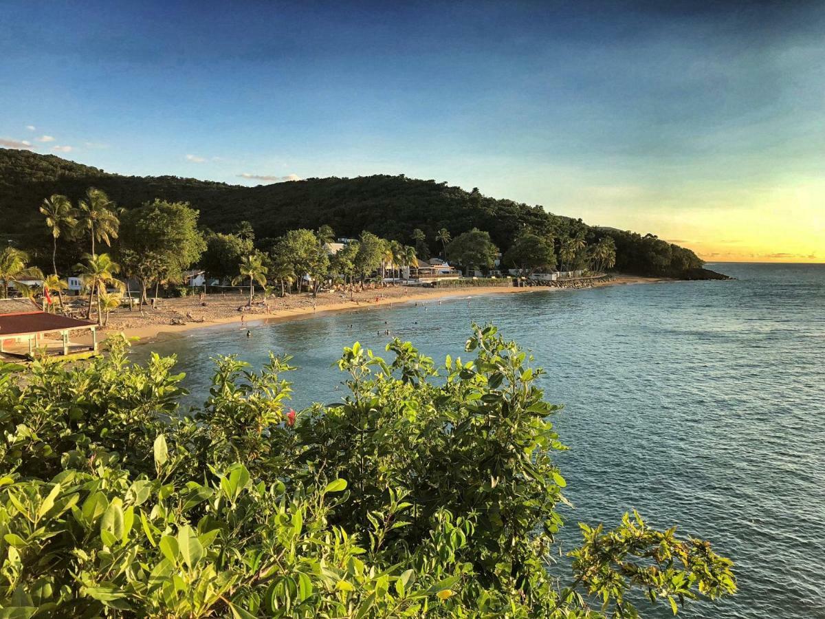 Gites Atemoya. Petit Bas Vent Fort Royal. Deshaies Bagian luar foto